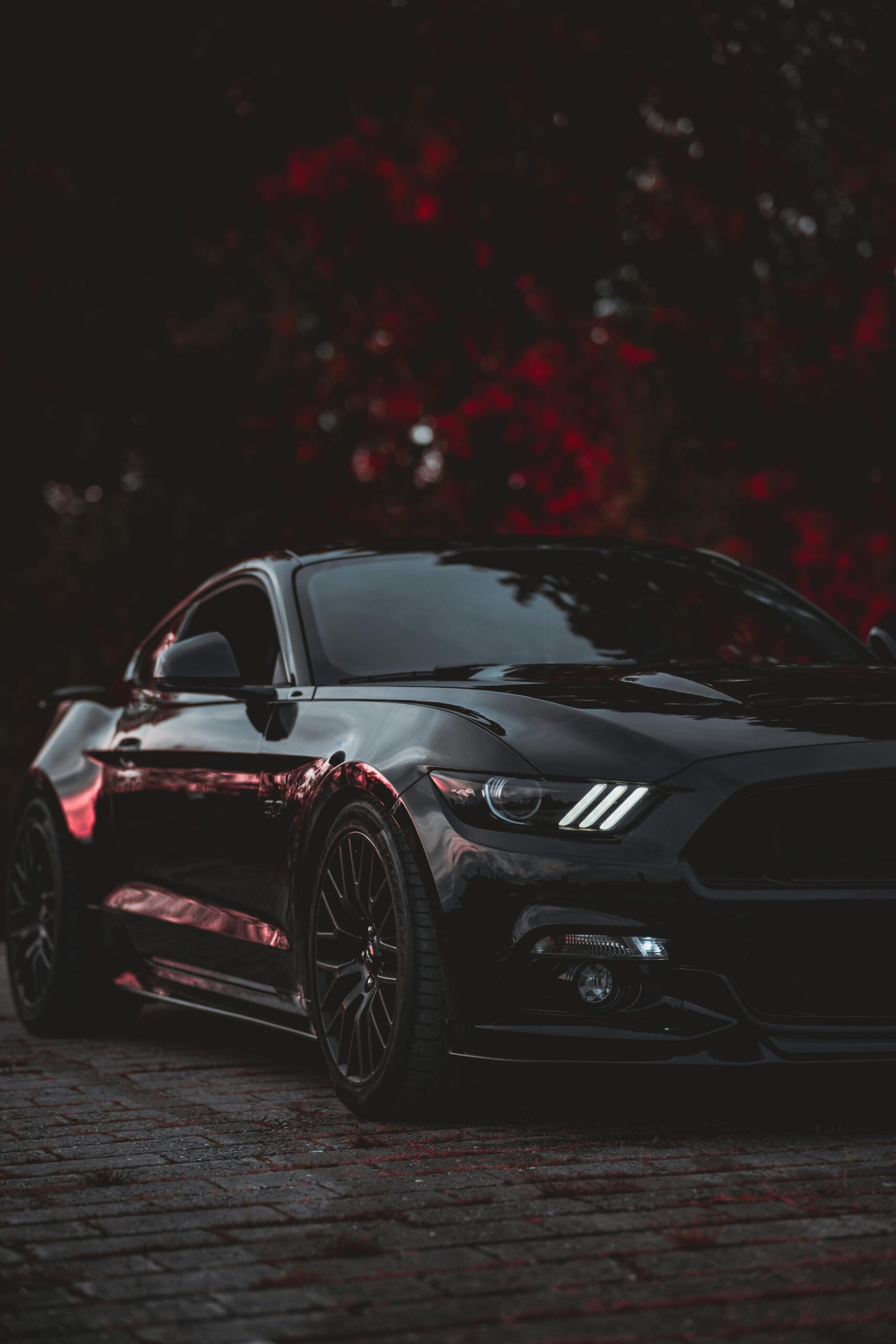 pexels-photo-6584057-6584057 Catch the essence of luxury with this sleek black Mustang parked against a dark, dramatic backdrop.